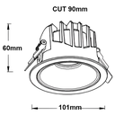 Jackson Series - 101