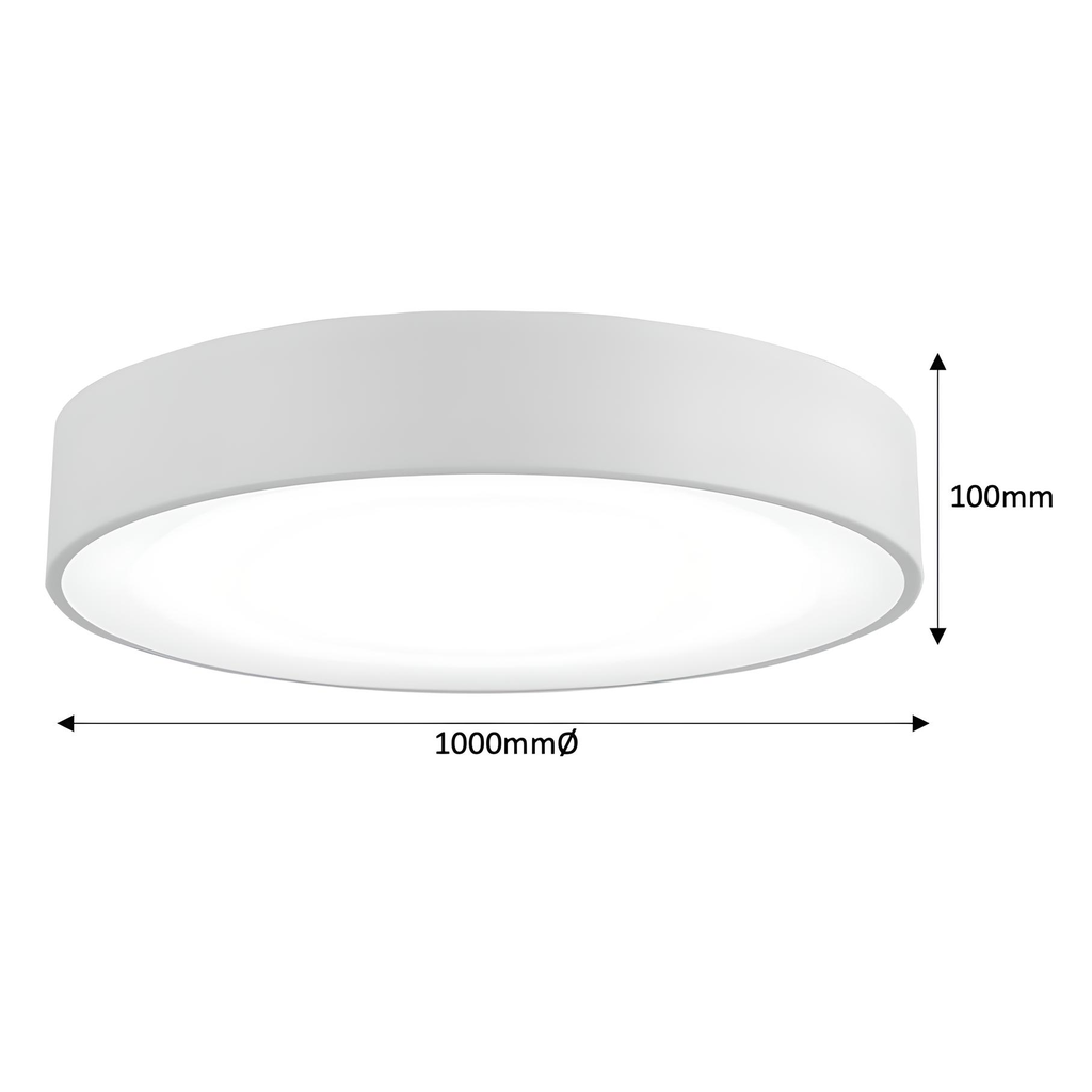 Tabbita Series - 1000