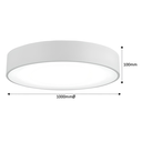 Tabbita Series - 1000