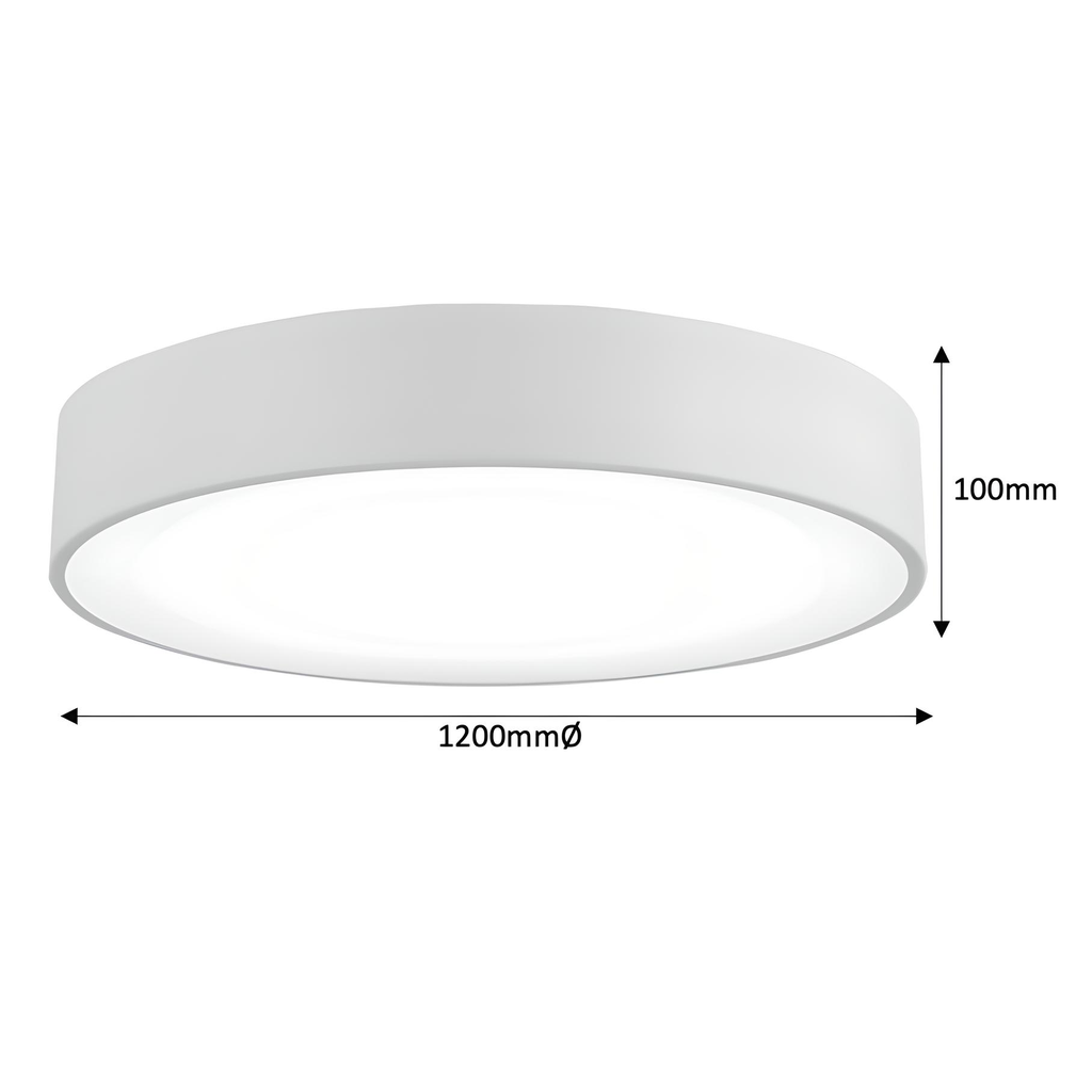 Tabbita Series - 1200