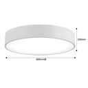 Tabbita Series - 300