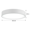 Tabbita Series - 800