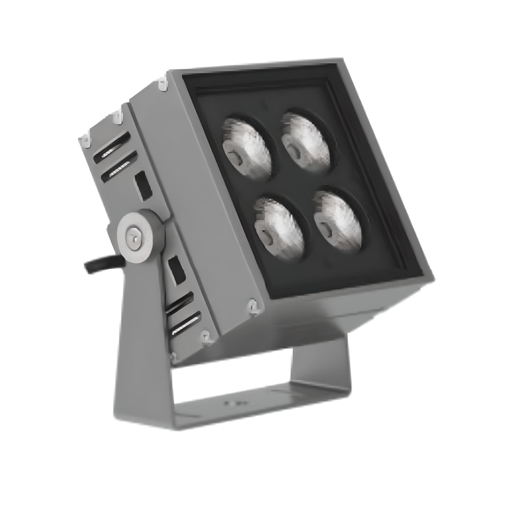 Edmonton Series - 152 - COB