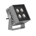 Edmonton Series - 152 - COB