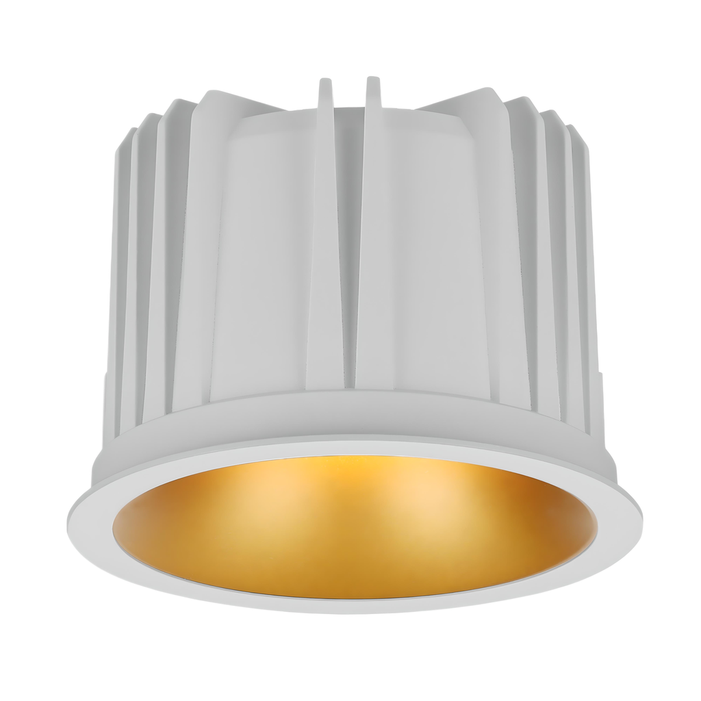 Paechtown Series - 101