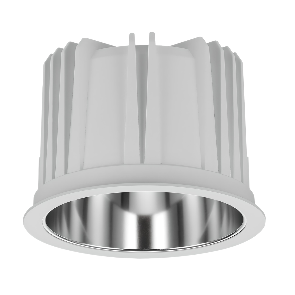 Paechtown Series - 137