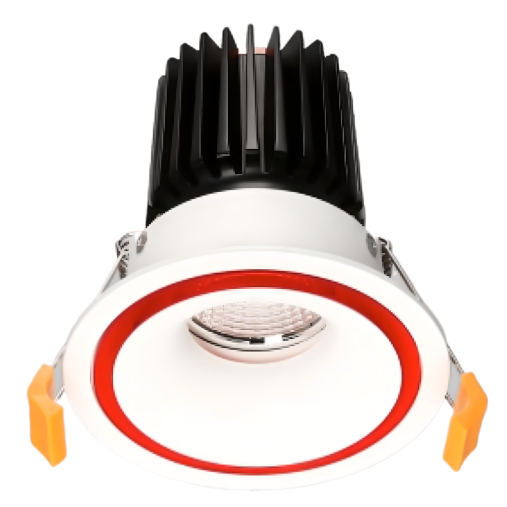 Switch Downlight Kit - RF6