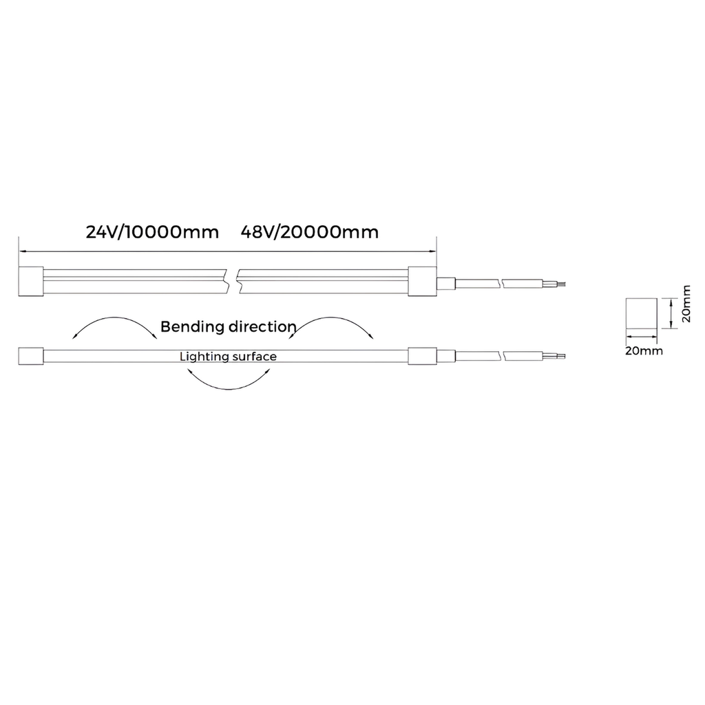 Neon Strip - AHS2020