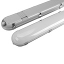 Salisbury Series - 1800