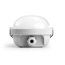 Salisbury Series - 1800