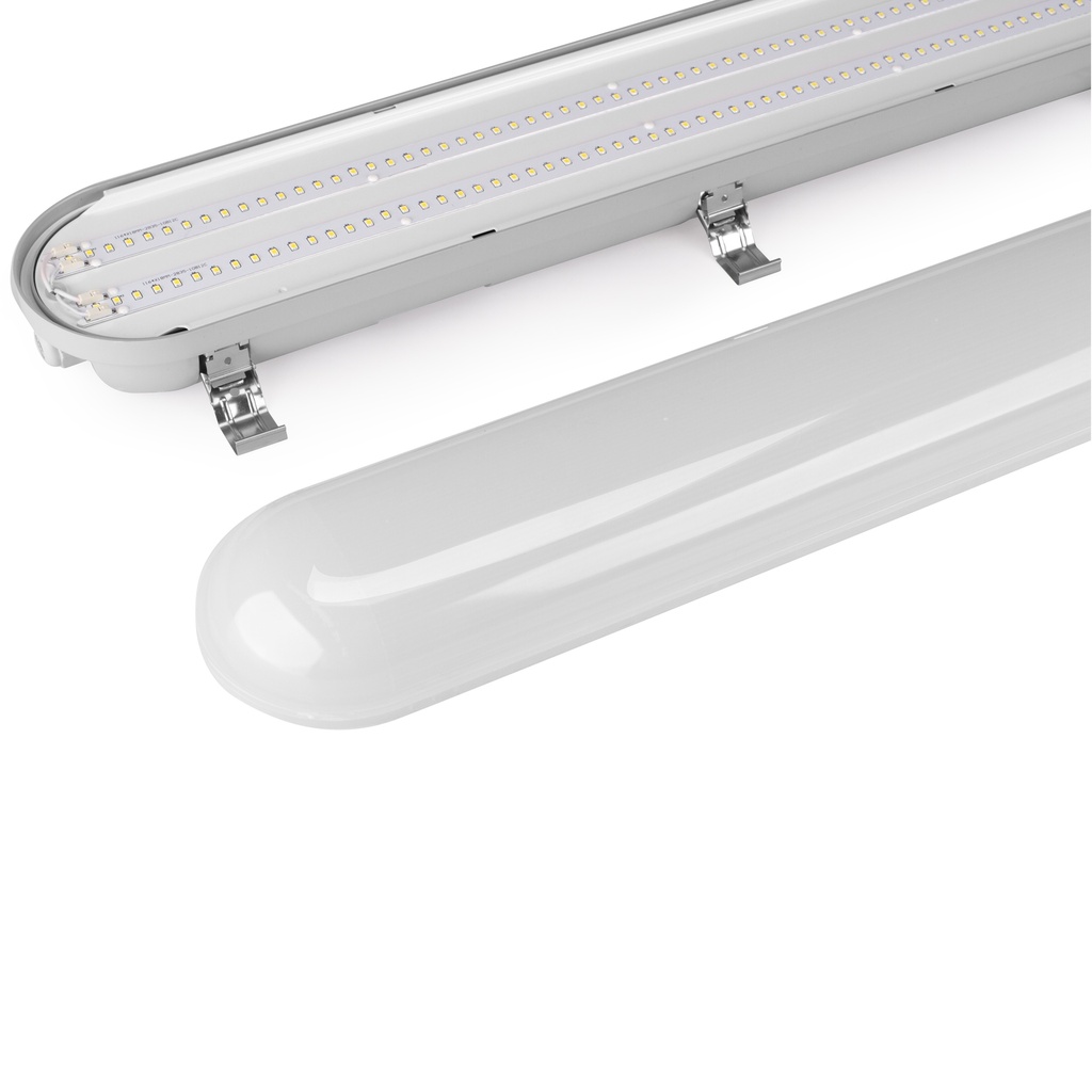 Salisbury Series - 600