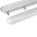 Salisbury Series - 600