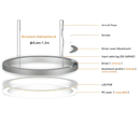 Banca Series - 800 x 6068