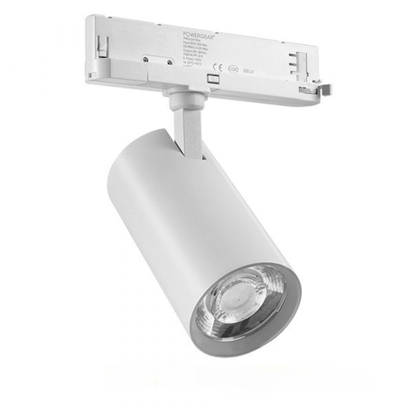 Beelbee Series - 80 30w Boke