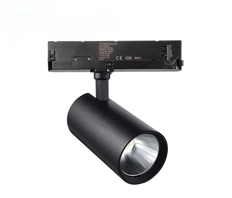 Beelbee Series - 80H