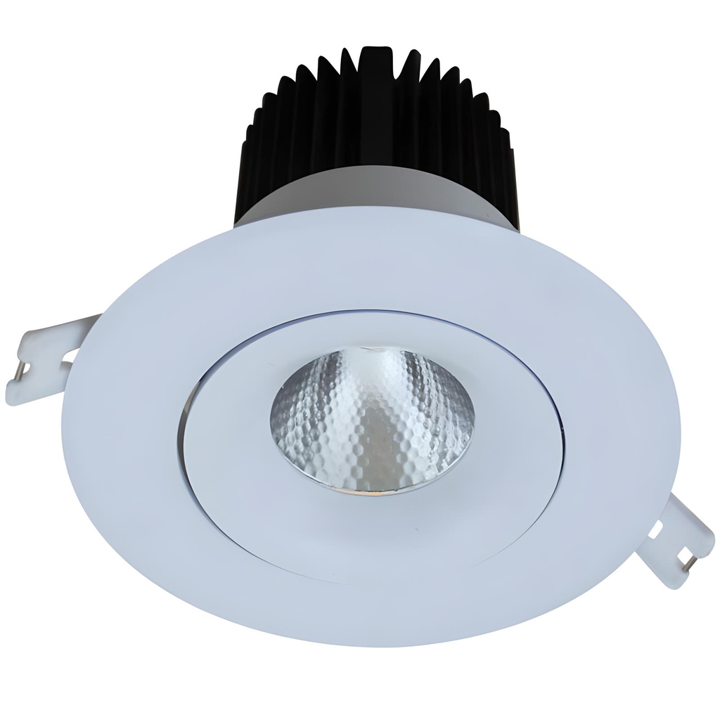 Daintree Series - 119