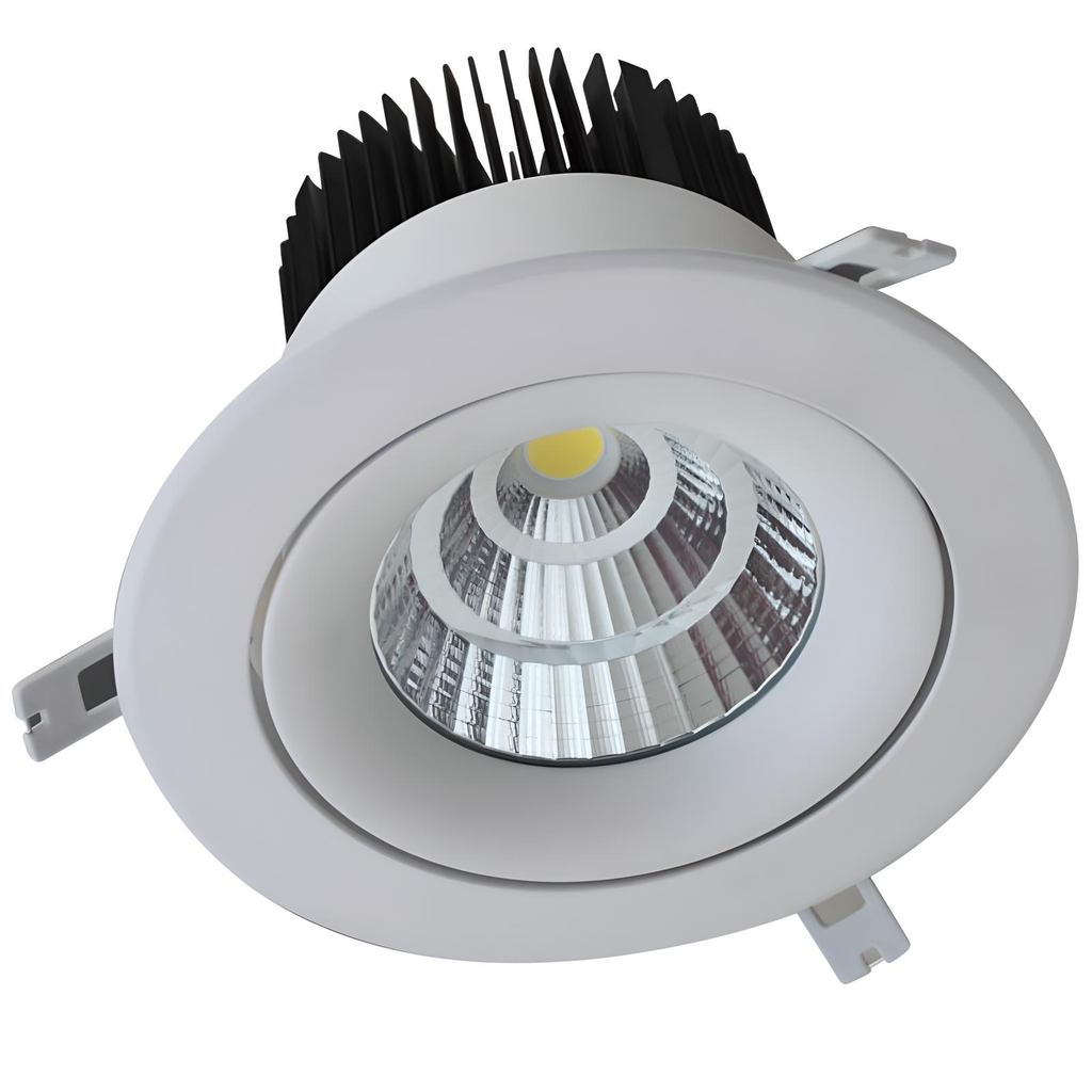 Daintree Series - 142