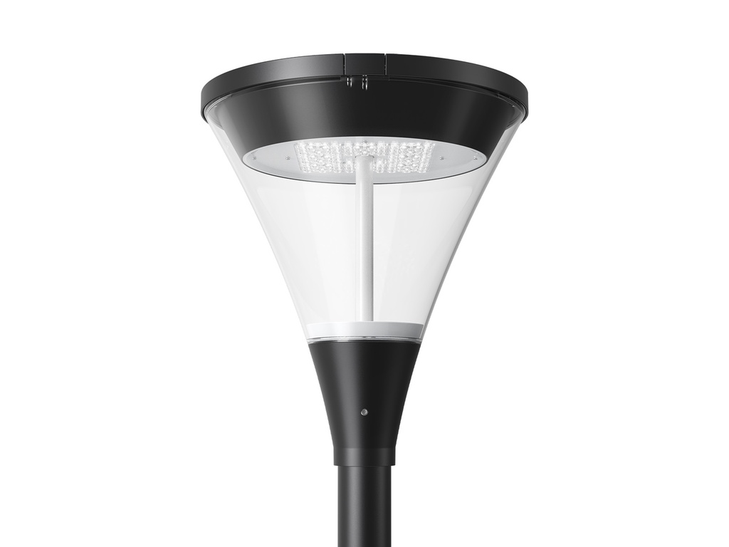 Fadden Series - Direct 