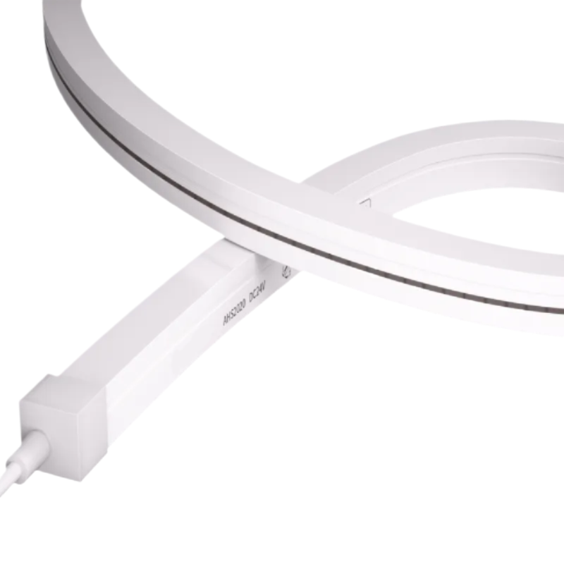 Neon Strip - AHS2020