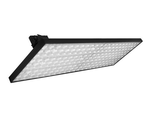 [AES-20-TL-P193] Forde Series