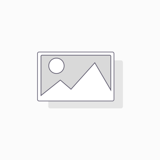 [No Alt] No Alternative Currently Available
