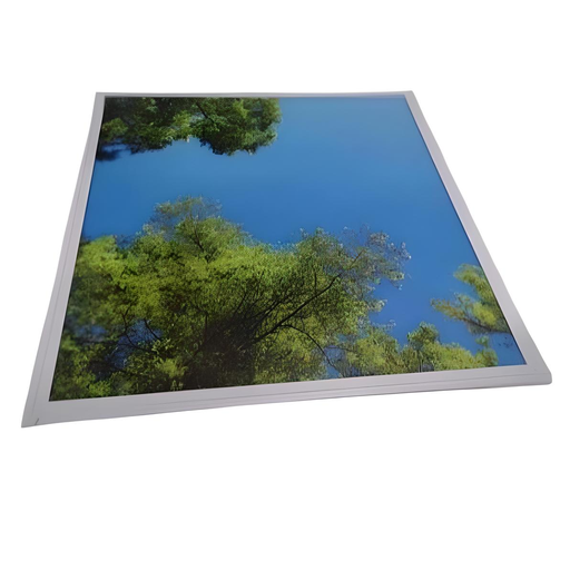 [AES-08-CSPL6030] Sky Panel 6030
