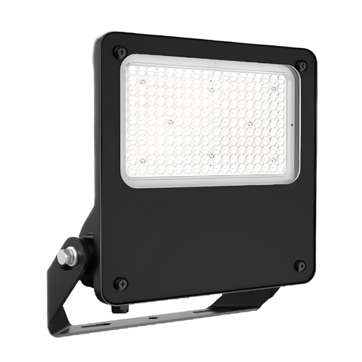 [AES-01-FL44-150W] Abbeywood Series - 150W